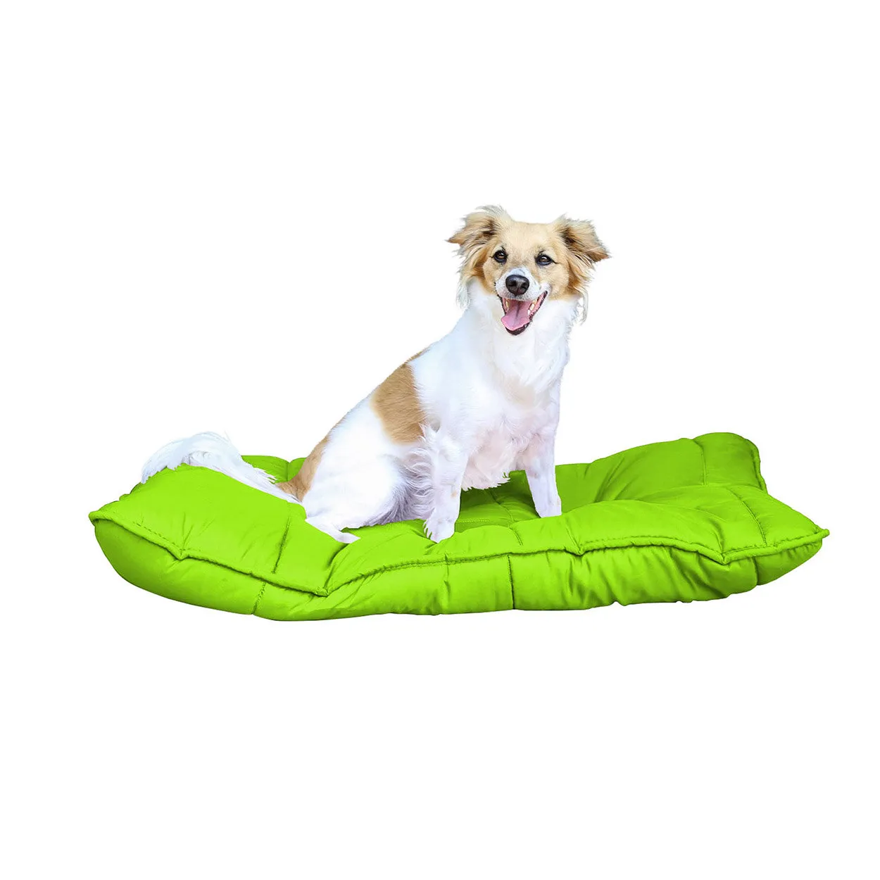 Maxy cuscinone imbottito e trapuntato per cani e gatti Elegant, verde mela