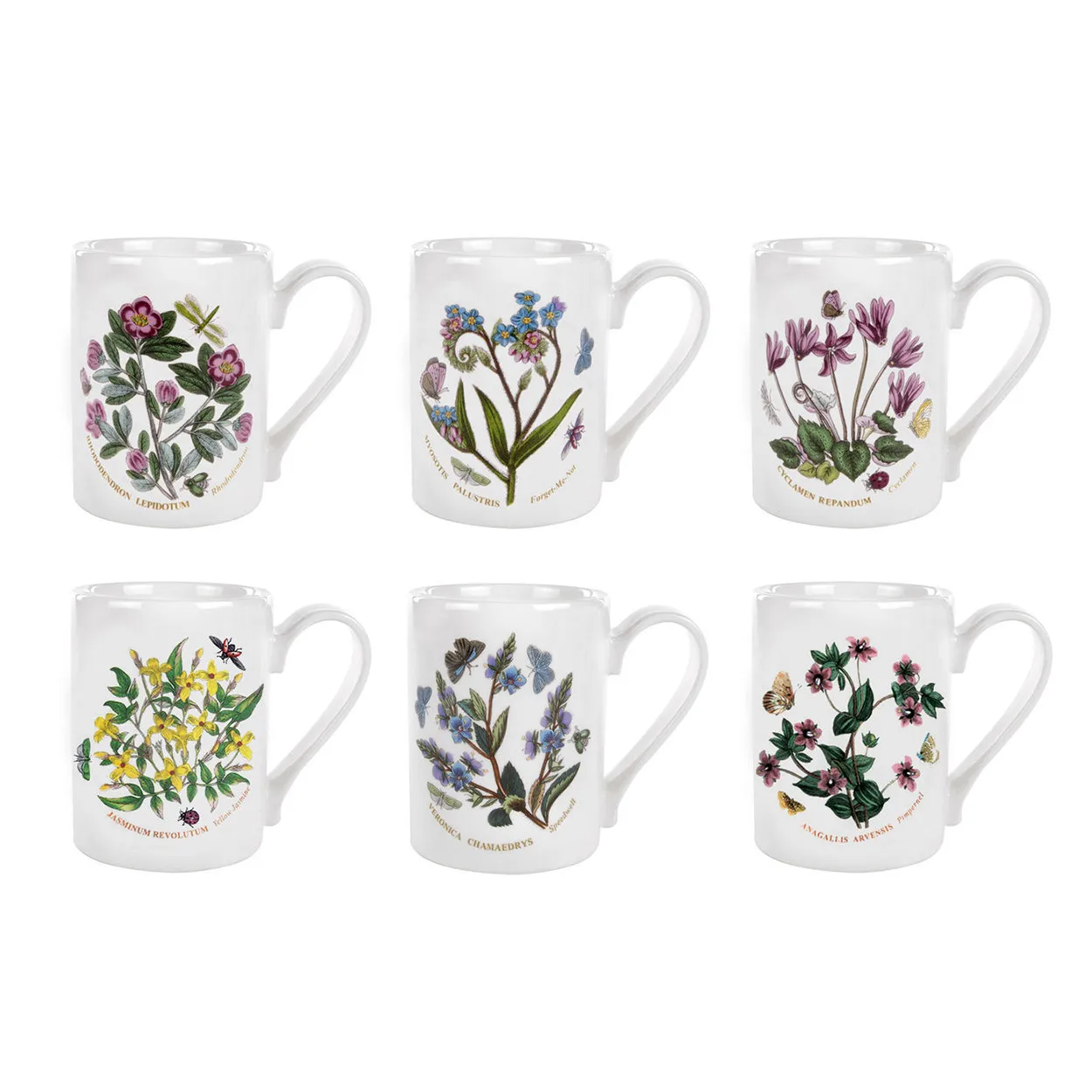 Set 6 Mugs - Botanic Garden