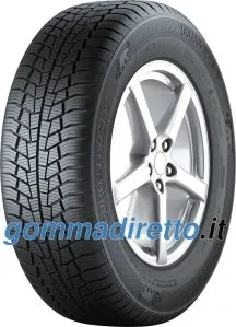  Euro*Frost 6 ( 205/55 R16 91H EVc )