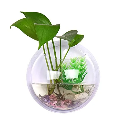 TONGXU Appeso a Parete in Vetro da Appendere Vaso fioriera Bubble pianta Contenitore (15 cm Diametro)