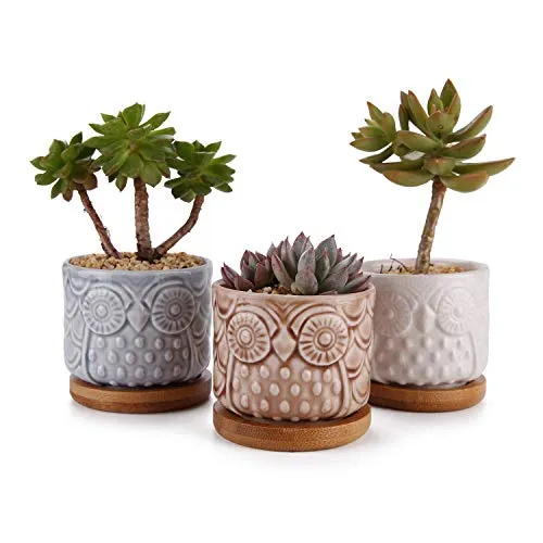 ComSaf Vaso per Pianta Grassa Vaso di Piante con Vassoio di bambù Pancromatico 6.6CM Ceramica Gufo Set di 3, Fioriere di Cactus Contenitori Vasi di Fiori Decorativo del Desktop Davanzale Bonsai