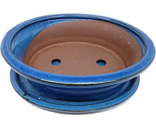 Cuoio d'oro Vaso per Bonsai in Ceramica con Piastra Smaltata, Colore Blu, Fabbricazione Artigianale, Vaso per Bonsai di Diverse Dimensioni (27, 22)