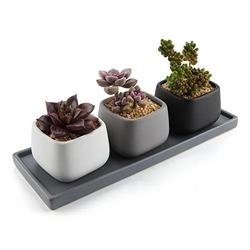 T4U 7CM Ceramica Moderno Mini Piazza Succulento Vaso/Cactus Vasi di Fiori Contenitore Porta Porcellana Piante con Vassoio Rettangolare - Colore Pieno Confezione da 3