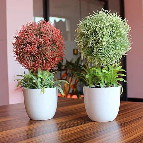 Hemore semicircolare vaso di ceramica europea moderna Flower pot succulente vaso per piante in polietilene bianco