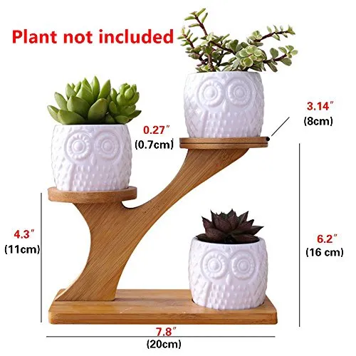 Innoter Vaso in ceramica bianca con vassoio in bambù, ideale per fiori e cactus Pattern 6