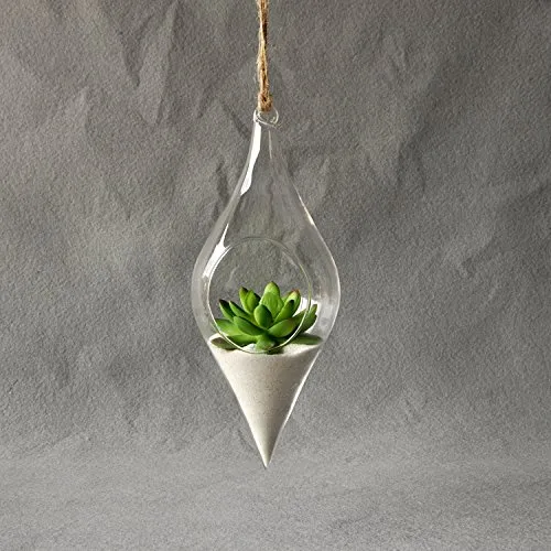 Kicode Vaso di Vetro Appeso Fiore di pianta idroponica di Terrarium Contenitore Chiaro Ufficio dell'interno di Creative Home Decor