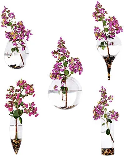KnikGlass - Set di 5 vasi geometrici da parete in vetro per piante acquatiche o fiori, decorazione da parete da giardino, Style 2
