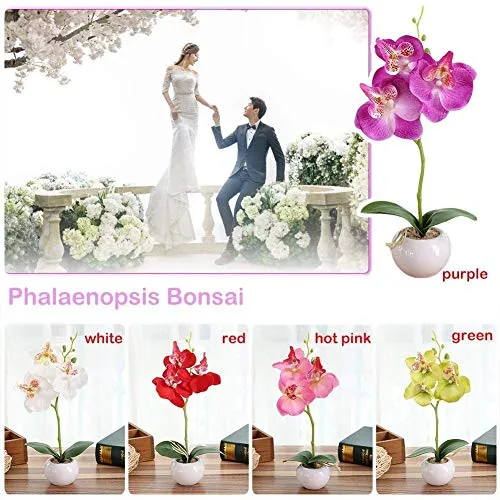 HONIC squisita dei Prodotti per la casa Home Page simulato pianta Bonsai da Interno Piante Farfalla Orchidea Bonsai Eleganza Tranquilit Decorazione: GN, Stati Uniti