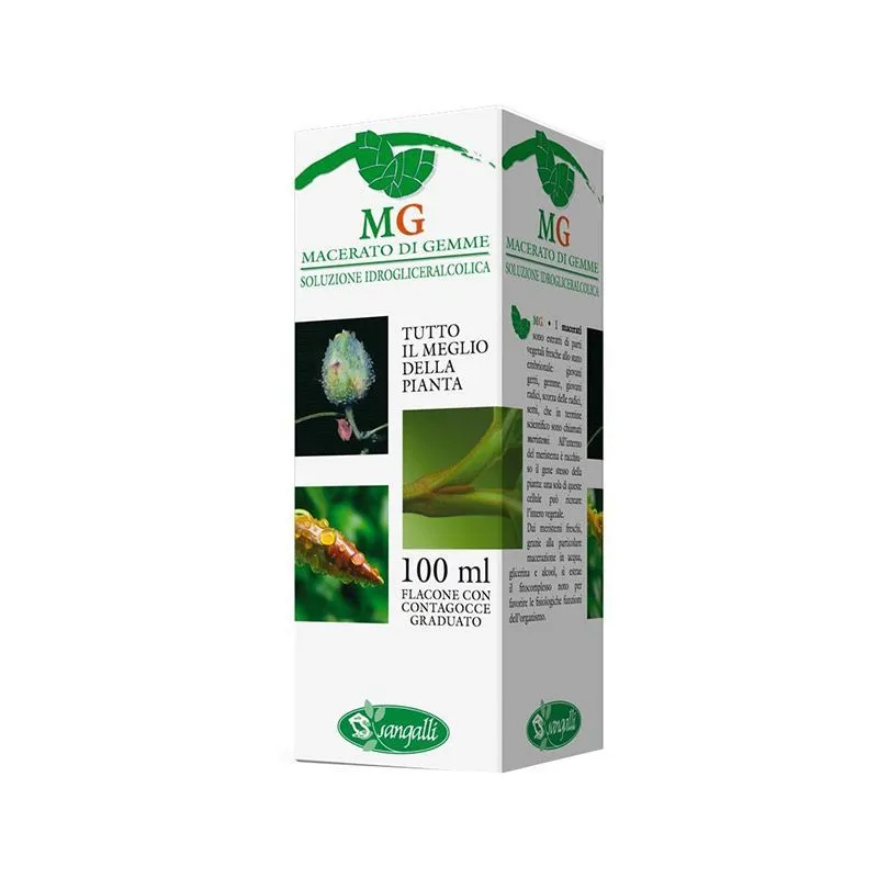 Noce Macerato Di Gemme 100ml