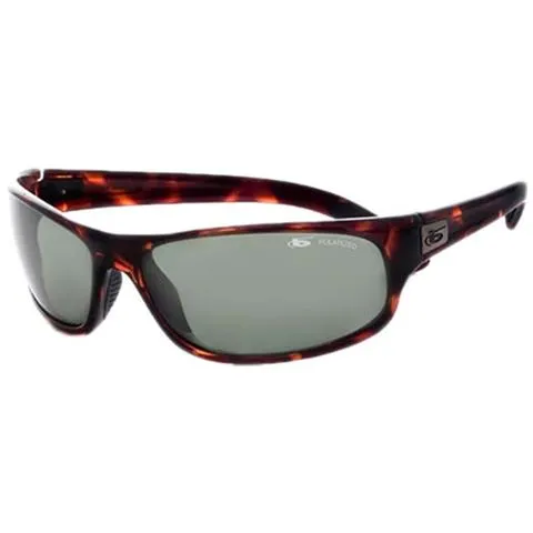 Occhiali Bolle Anaconda Polarized Protezioni Polarized Axis Oleo Af / cat3