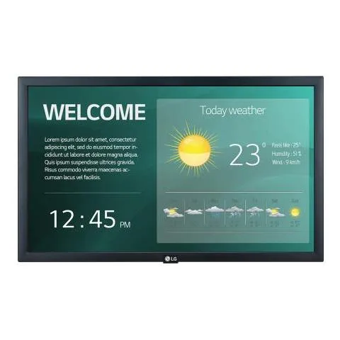 Monitor 21.5'' LED IPS 22SM3G-B 1920x1080 Full HD