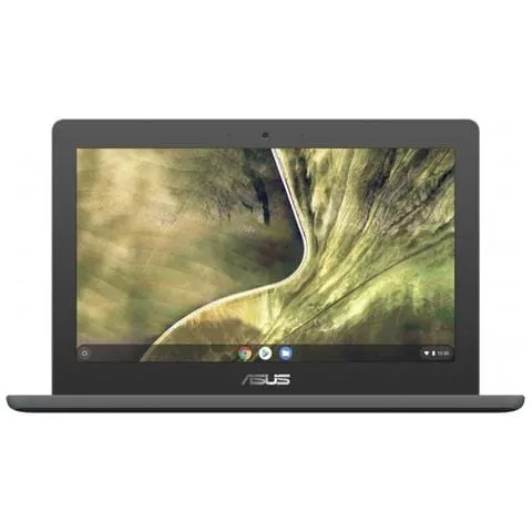 Chromebook C204MA-GJ0311 Monitor 11.6'' HD Intel Celeron N4020 Ram 4GB eMMC 64GB 4xUSB 3.0 Chrome OS