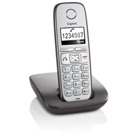 E310, DECT, Soffitto, Grigio, Ricevitore, AAA, Menu