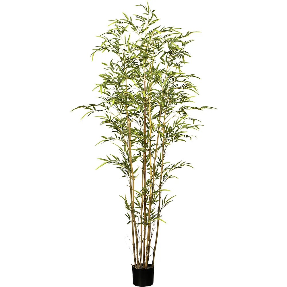 Bambù, resistente ai raggi UV - kaiserkraft