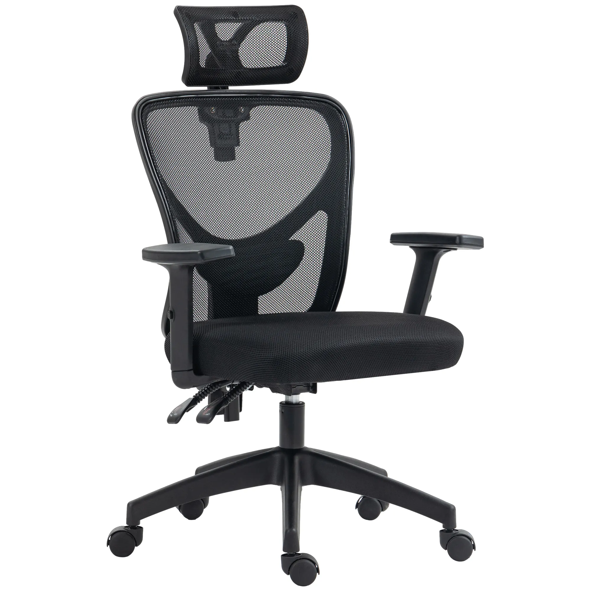  Sedia da Ufficio Ergonomica con Altezza Regolabile, Supporto Lombare e Poggiatesta, 66x61x106-116cm Nero Aosom