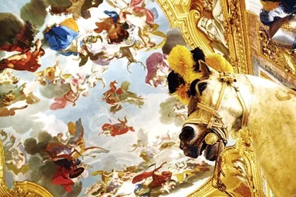 Tour con ingresso saltafila al Palazzo Reale di Torino con cappella della Sacra Sindone, armeria e giardini