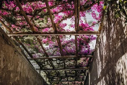 Pompei, Costiera Amalfitana e Positano per piccoli gruppi, da Roma