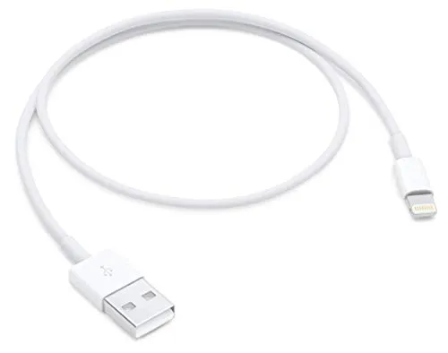 Apple Lightning to USB Cable (0.5 m)