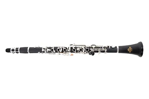 Roy Benson Bb-Clarinet CG-220 (sistema tedesco, corpo in ebanite, incluso bocchino Ernst Schreiber e accessori per la cura, in custodia rettangolare leggera, con set di zaini)