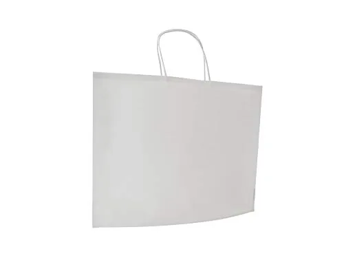 Carte Dozio - Shopper Bbag in Kraft, color Bianco, maniglia ritorta, f.to cm 36+10x27+1, cf 25 pz