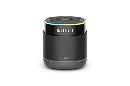 Pure StreamR - Altoparlante radio digitale portatile senza fili con tecnologia vocale Alexa e streaming Bluetooth, colore: Carbone