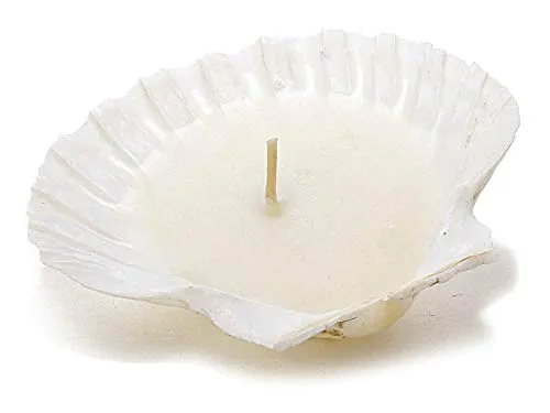 Candele decorative con conchiglia set da 12 candele decorative per la casa idea regalo idea bomboniera