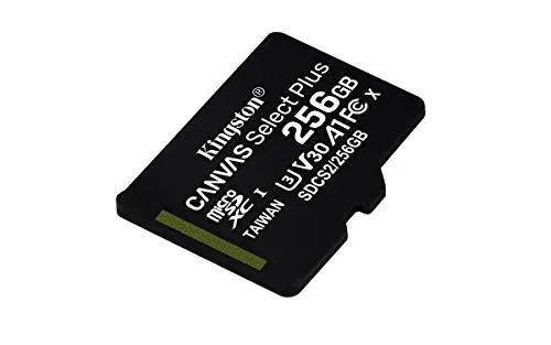 Kingston Canvas Select Plus SDCS2/256GBSP Scheda microSD Classe 10, senza Adattatore SD, 256 GB