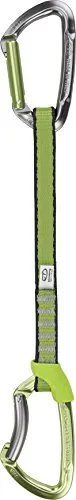 Climbing Technology Lime Set, Rinvio Unisex – Adulto, Grigio/Verde, 17 cm