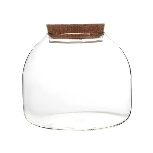 SiMbae Bottiglia di vetro di sughero Ciotola di pesce Vaso Micro Landscape Terrarium Ecosistema Contenitore con coperchi Bottiglia di vetro Bottiglia di sughero Vaso da terrario Contenitore