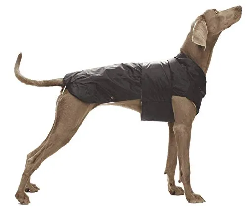Croci Montreal - Cappotto per cani, Mantello invernale, Giacca impermeabile, Taglia 60cm, Nero
