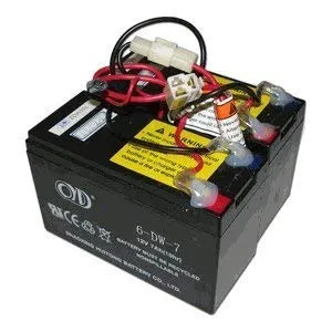Batteria per monopattino elettrico Razor modello E200 (versione 13+) e E300 (versioni 11 e 13+)