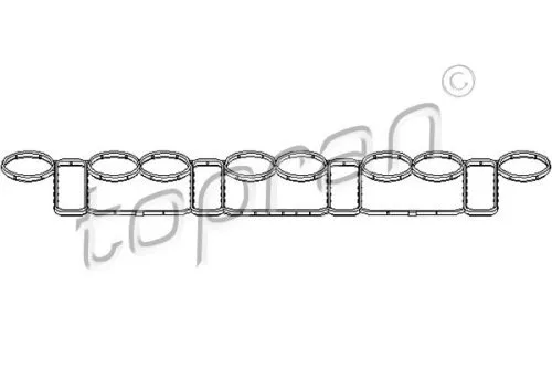 topran 112 397 – Guarnizione, Collettore Aspirazione