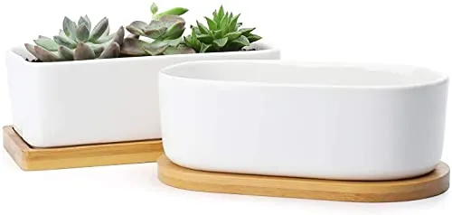 MMBOX - Vasi per piante grasse, 15 cm, rettangolari, in ceramica, piccoli contenitori, per cactus, bonsai, vasi da fiori con foro di drenaggio, sottovaso in bambù, set da 2 pezzi, colore bianco