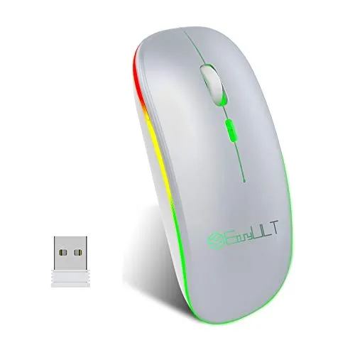 EasyULT Mouse Bluetooth Ricaricabile, Mouse Silenzioso a Due modalità (BT 5.1+2.4G Wireless), Mouse da Viaggio Portatile Senza Fili Ottico, 3 Livelli DPI(800/1200/1600), 4 Pulsanti(Argento)