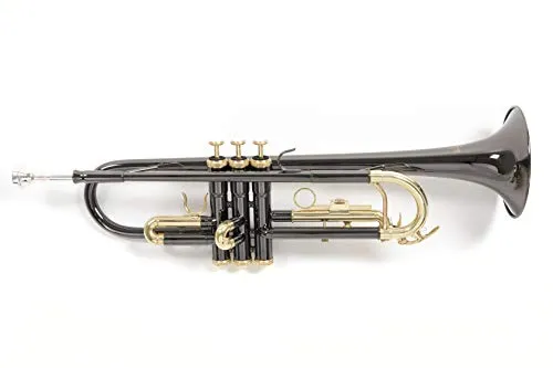 Roy Benson Bb-Trumpet TR-101K (alesaggio ML, valvole in acciaio inossidabile, leadpipe in ottone dorato, design elegante, custodia rettangolare leggera, con funzione di zaino), Antracite