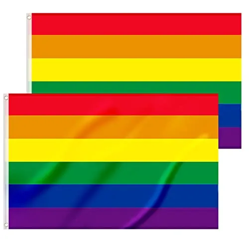 2 Pezzi Bandiere Arcobaleno - 90 x 150 cm LGBT Gay Pride con 2 Occhielli in Ottone - Bandiera Pride dai Colori Vivaci può Essere Utilizzata Interno o Esterno