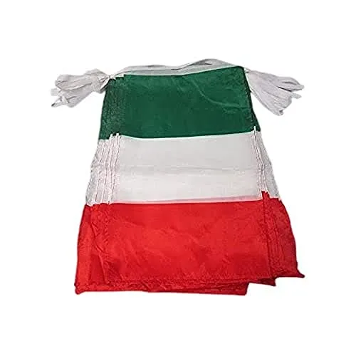 AZ FLAG Ghirlanda 12 Metri 20 Bandiere Italia 45x30cm - Bandiera Italiana 30 x 45 cm - Festone BANDIERINE