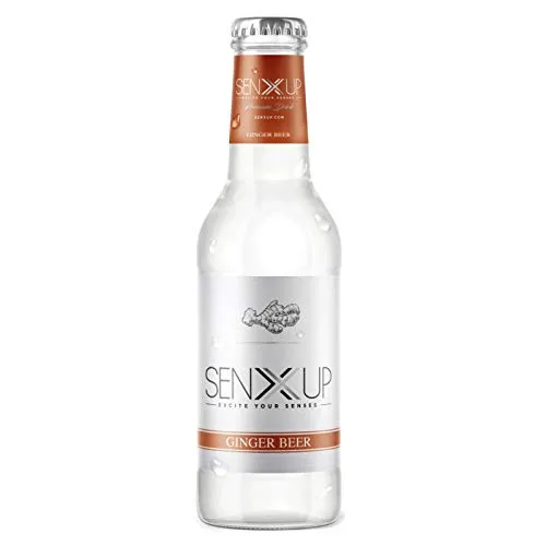 SENXUP Ginger Beer - Premium Mixer, Confezione 24 x 200 ml vetro