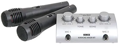 Skytec Set Karaoke con mini amplificatore audio e 2 microfoni (volume regolabile, ultracompatto, effetto eco, RCA)
