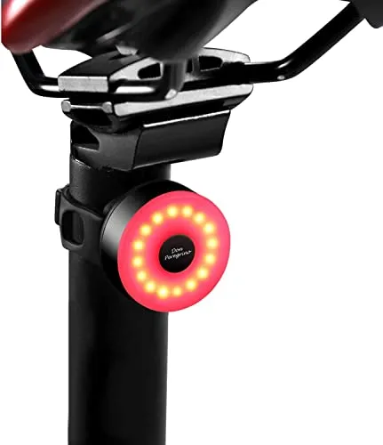 DONPEREGRINO M2 - LED Luce Bici Fino a 90 Ore di Illuminazione, Fanale Posteriore Bicicletta Ricaricabile USB - Type C con 5 Modalità Fisse Flash