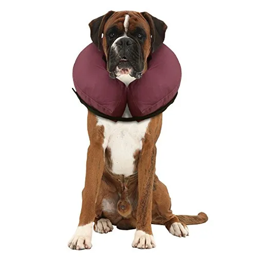 iCollr - Il Collare Gonfiabile - Collare Protettivo per Cani e Gatti nel Recpero Postoperatorio