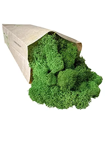 Lichene Stabilizzato Naturale 250gr Qualità Premium Colore Natural Green Verde Stabilizzato Muschio Stabilizzato Colorato Ideale Per Giardino Verticale Quadri Vegetali Modellismo Quadro Presepe
