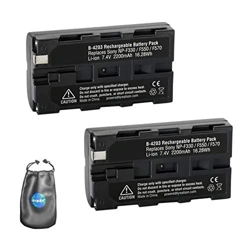 Amsahr - Batteria di ricambio per fotocamera digitale e videocamera Sony NP-F550, NP-F330, NP-F570 Pack-2