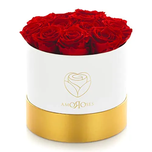 Amoroses 12 Rose Stabilizzate Vere durano Anni - Idea Regalo per Lei Originale Elegante Bouquet per Anniversario e Altre Occasioni Speciali (Scatola Bianca con Rose Rosse)