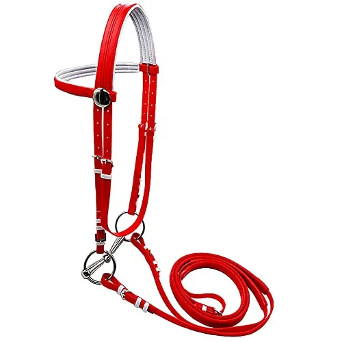 Hackamore Per Cavalli, Testiera Per Cavalli, Cavezza Per Cavallo Addensata, Briglie Imbottite Con Reni Per Il Collare Della Testa, Cavezza Per Cavallo Stabile, Cavezza Per Briglie(Color:Rosso)