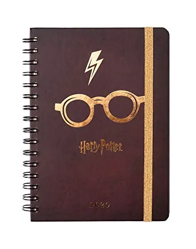 Erik® - Agenda 2020 Harry Potter, Limited Edition, 12 mesi, settimanale, A5, multiuso e versatile con planning mensile, planning orario e adesivi stickers