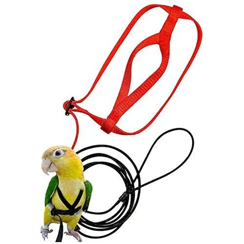 Pettorina Pappagallo,Pettorina per Pappagalli Parrot Leash Flying Anti-Bite Traction Rope Uccello Allenamento Outdoor Carrying Flight Rope, S//L/XS/XXS(Colori Casuali)