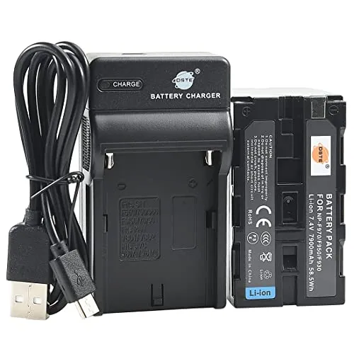 DSTE NP-F970 Li-Ion Batteria e Caricabatterie USB Compatibile per Sony CCD-TR716 CCD-TR818 CCD-TR910 CCD-TR917 CCD-TR930 CCD-TR940