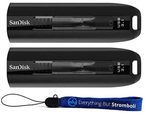 SanDisk 128GB Extreme Go USB 3.1 Flash Drive (SDCZ800-128G-G46) (Two Pack) Bundle with (1) Everything But Stromboli Lanyard