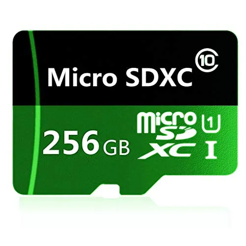 Genericce - Scheda di memoria Micro SD SDXC da 256 GB, classe 10, con adattatore incluso